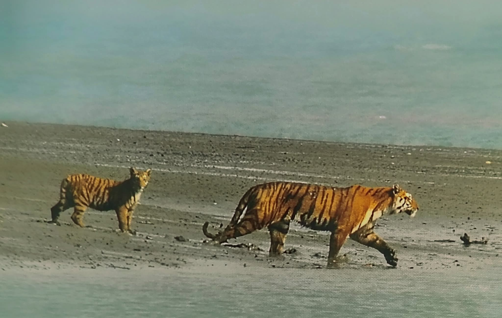 images/WhatsApp Image 2025-12-02 at 7.40.06 PM (2).jpeg